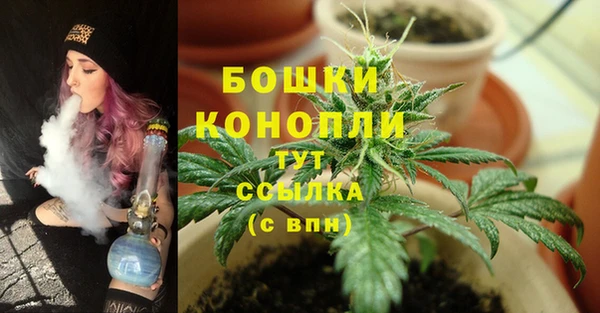 метадон Богородицк