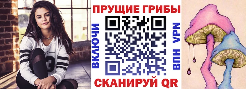 где купить наркоту  Коряжма  гидра вход  Галлюциногенные грибы мухоморы 
